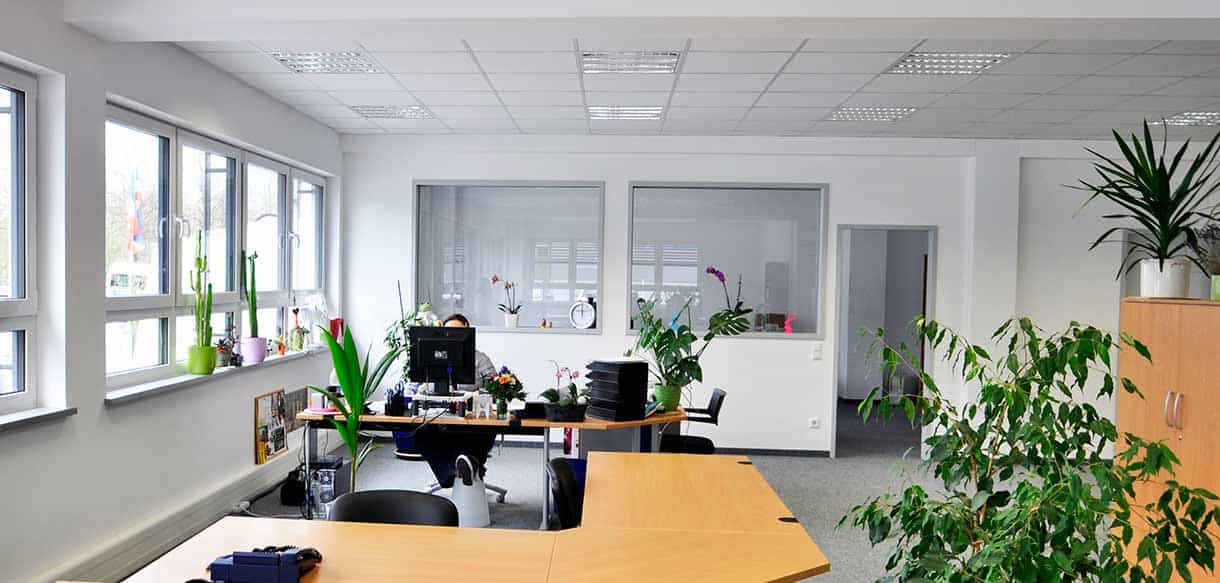 Büro mit Schreibtischen, Pflanzen und Fensterfront im Bürogebäude der Felden GmbH