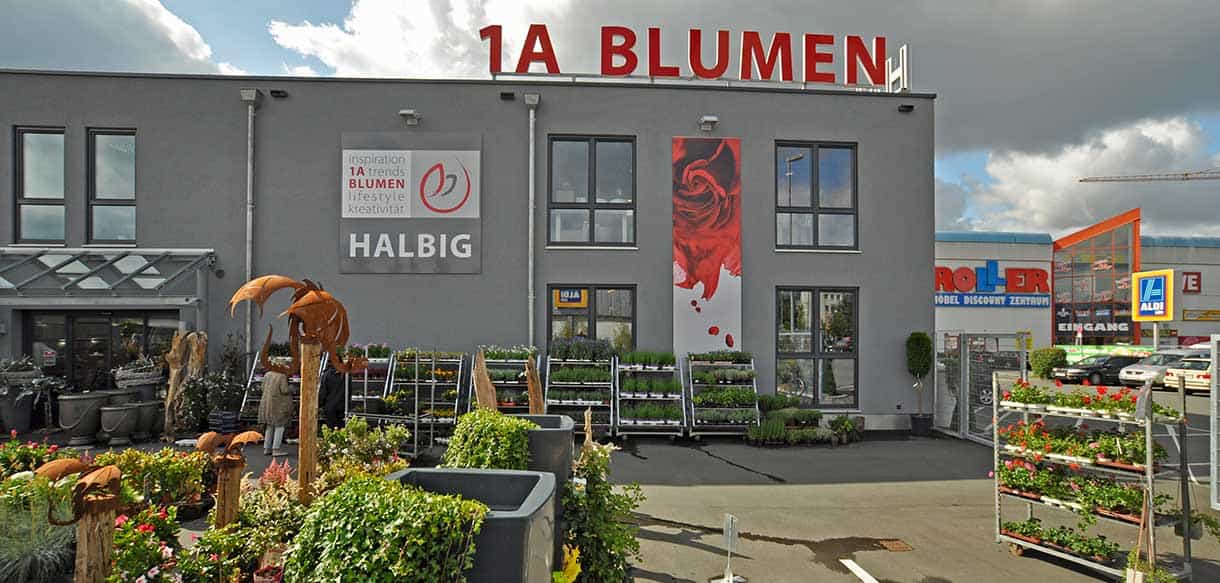 Eingang des Verkaufsgebäudes von 1A Blumen Halbig mit Pflanzenauslage und Rosenbanner an der Fassade