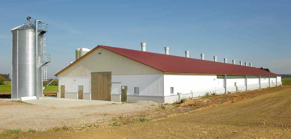 Hähnchenmaststall von Haas Landwirtschaftsbau