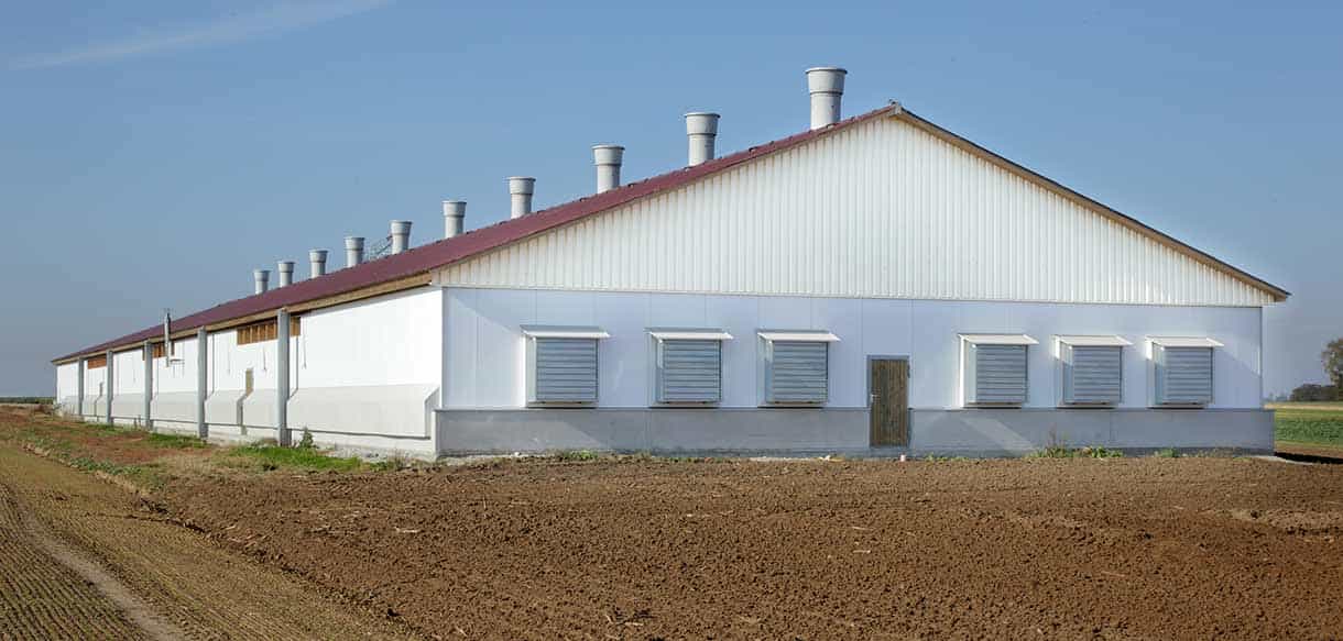 Hähnchenmaststall von Haas Landwirtschaftsbau