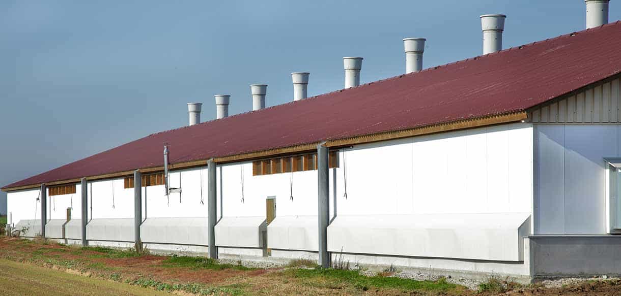 Hähnchenmaststall von Haas Landwirtschaftsbau