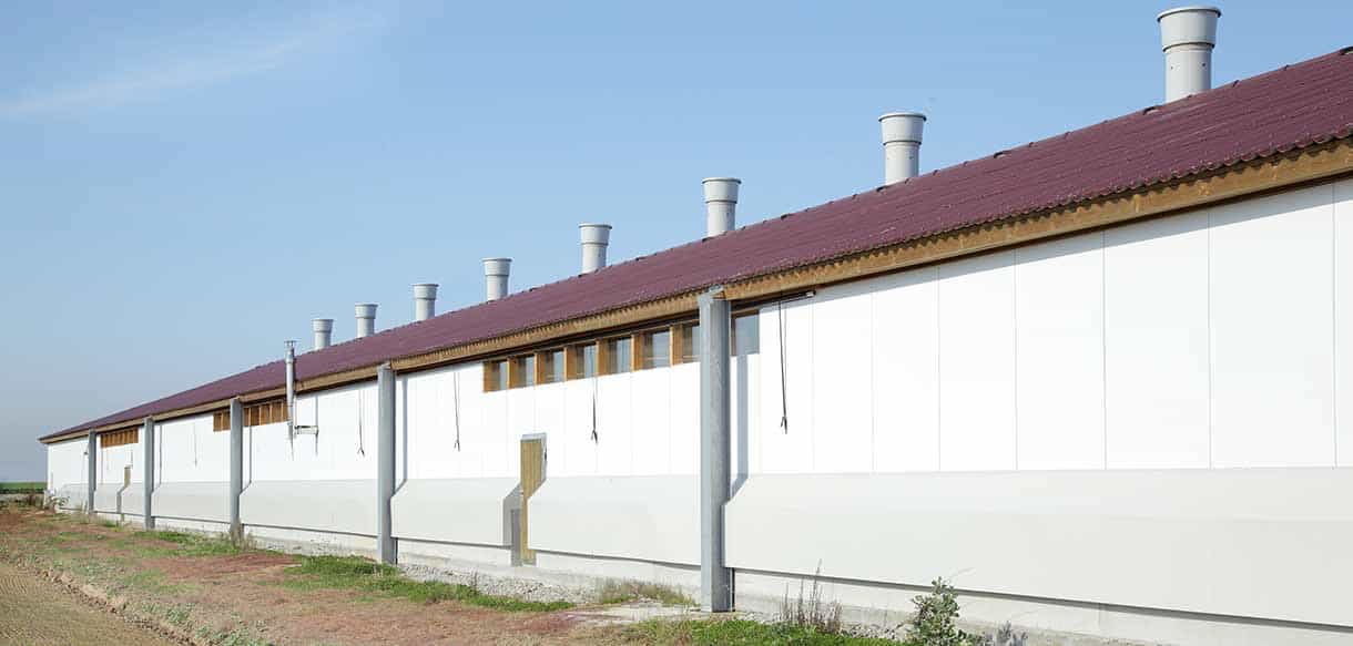 Hähnchenmaststall von Haas Landwirtschaftsbau