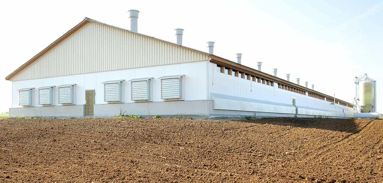 Hähnchenmaststall von Haas Landwirtschaftsbau