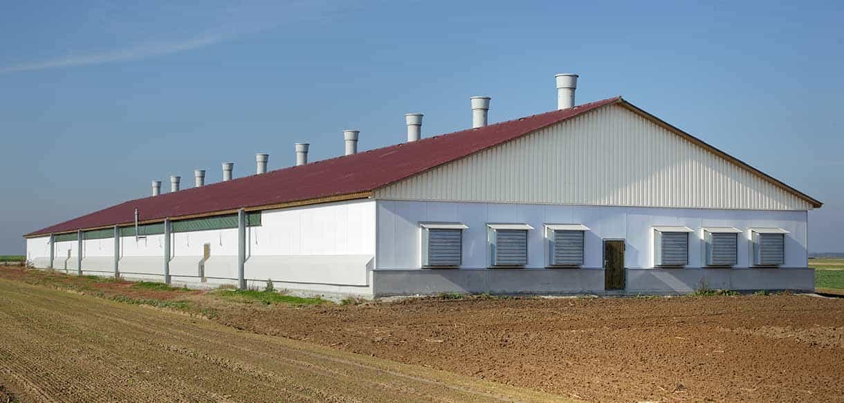 Hähnchenmaststall von Haas Landwirtschaftsbau