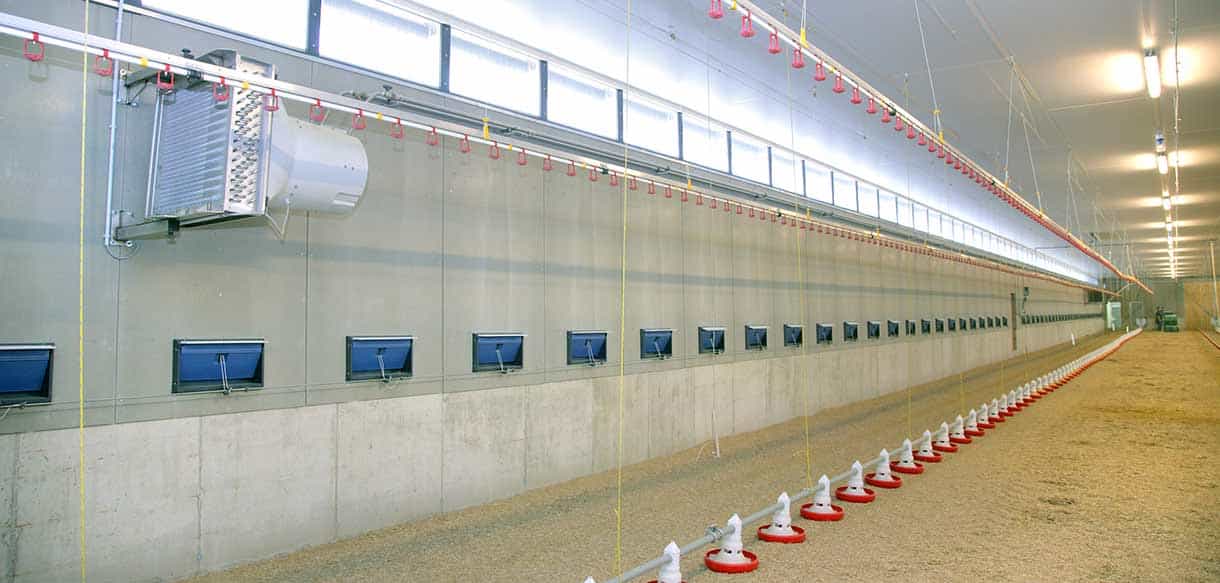 Hähnchenmaststall von Haas Landwirtschaftsbau