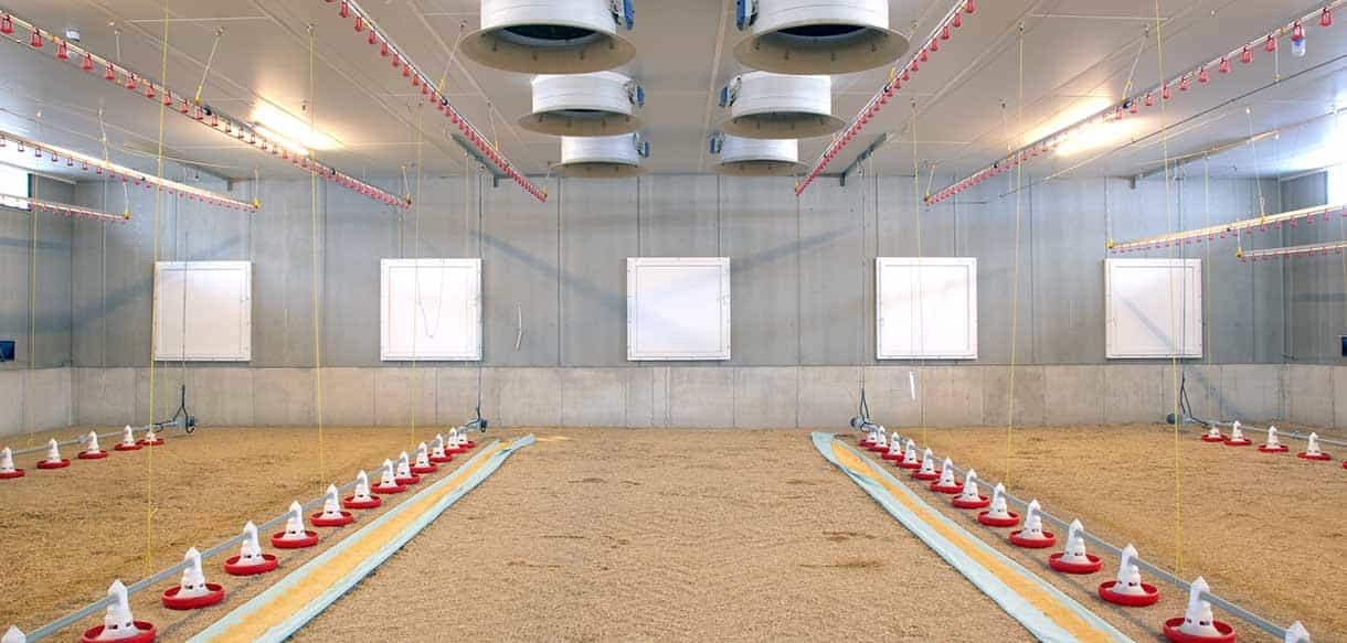 Hähnchenmaststall von Haas Landwirtschaftsbau