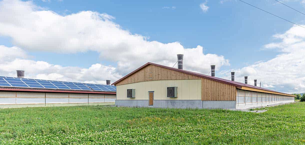 Hähnchenmaststall von Haas Landwirtschaftsbau