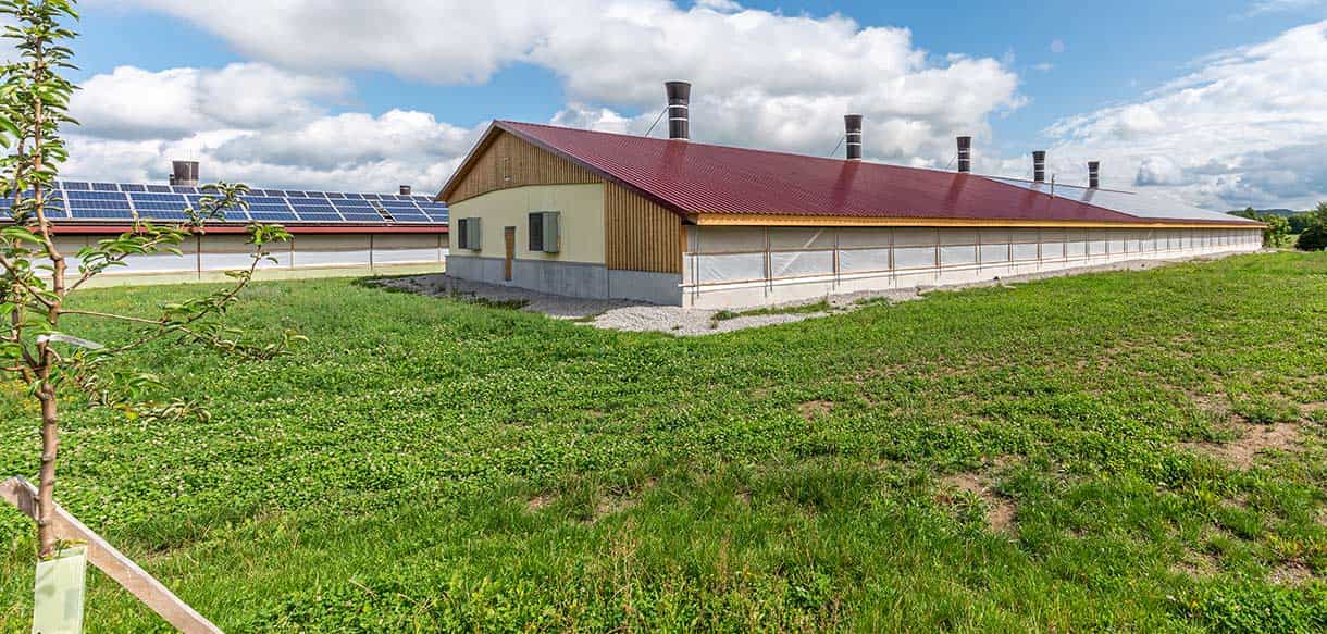 Hähnchenmaststall von Haas Landwirtschaftsbau