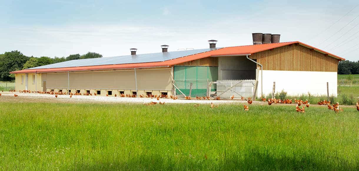 Legehennenstall von Haas Landwirtschaftsbau
