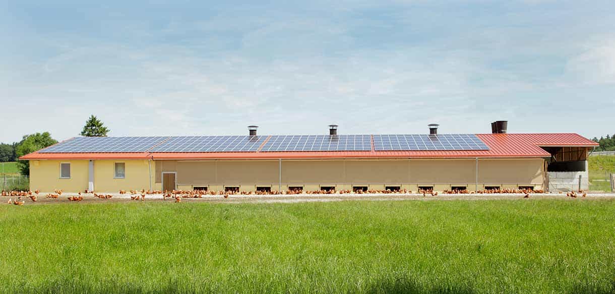 Legehennenstall von Haas Landwirtschaftsbau