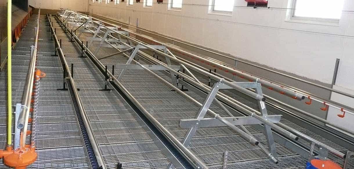 Legehennenstall von Haas Landwirtschaftsbau