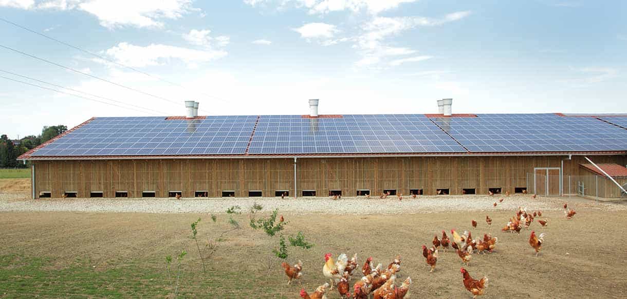 Bio Legehennenstall von Haas Landwirtschaftsbau