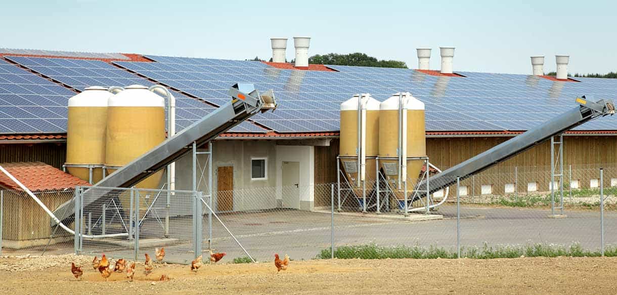 Bio Legehennenstall von Haas Landwirtschaftsbau
