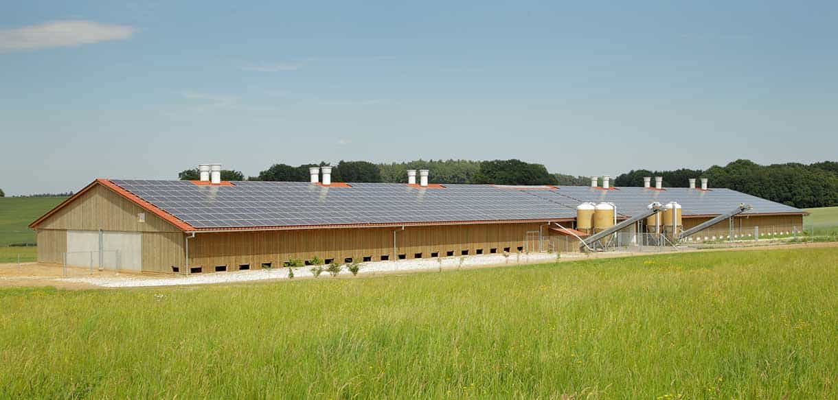 Bio Legehennenstall von Haas Landwirtschaftsbau