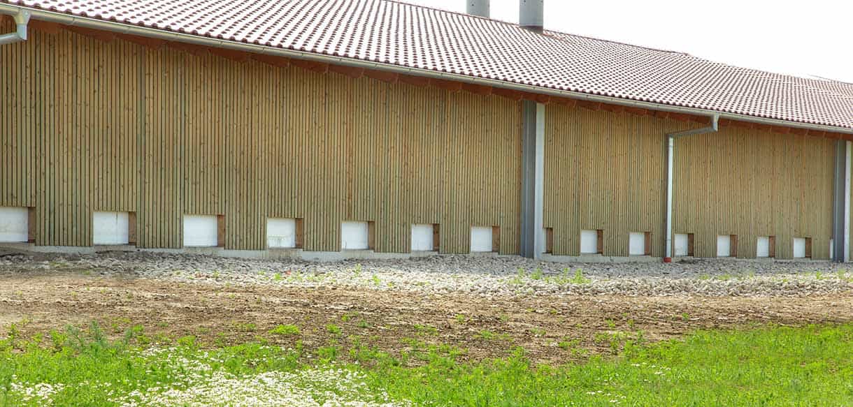 Bio Legehennenstall von Haas Landwirtschaftsbau