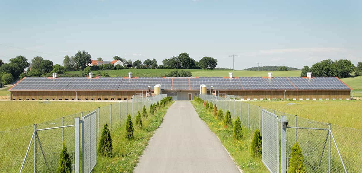 Bio Legehennenstall von Haas Landwirtschaftsbau