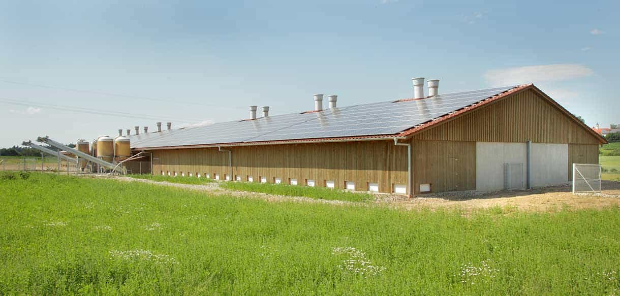 Bio-Legehennenstall in Kühbach von Haas Landwirtschaftsbau mit Holzfassade und Photovoltaikdach