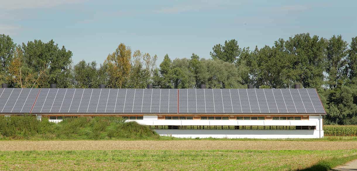 Putenstall von Haas Landwirtschaftsbau