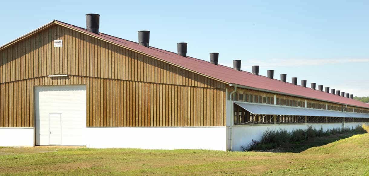 Putenstall von Haas Landwirtschaftsbau