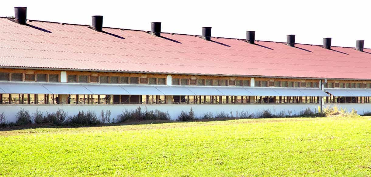 Putenstall von Haas Landwirtschaftsbau