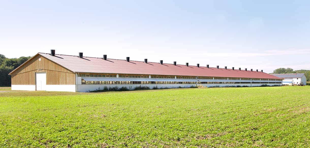 Putenstall von Haas Landwirtschaftsbau