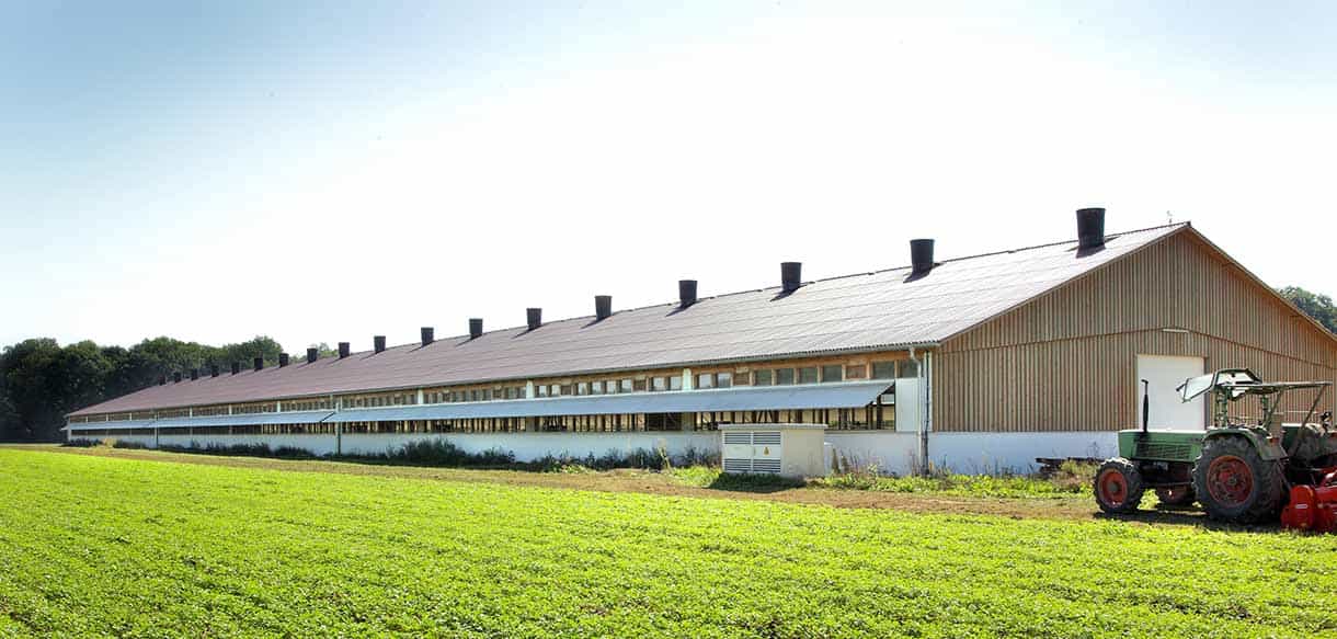 Putenstall von Haas Landwirtschaftsbau