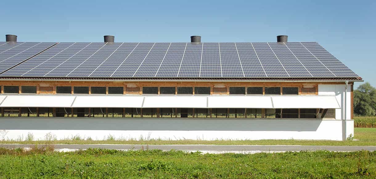Putenstall von Haas Landwirtschaftsbau