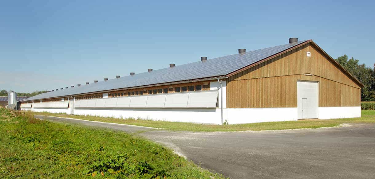 Putenstall von Haas Landwirtschaftsbau