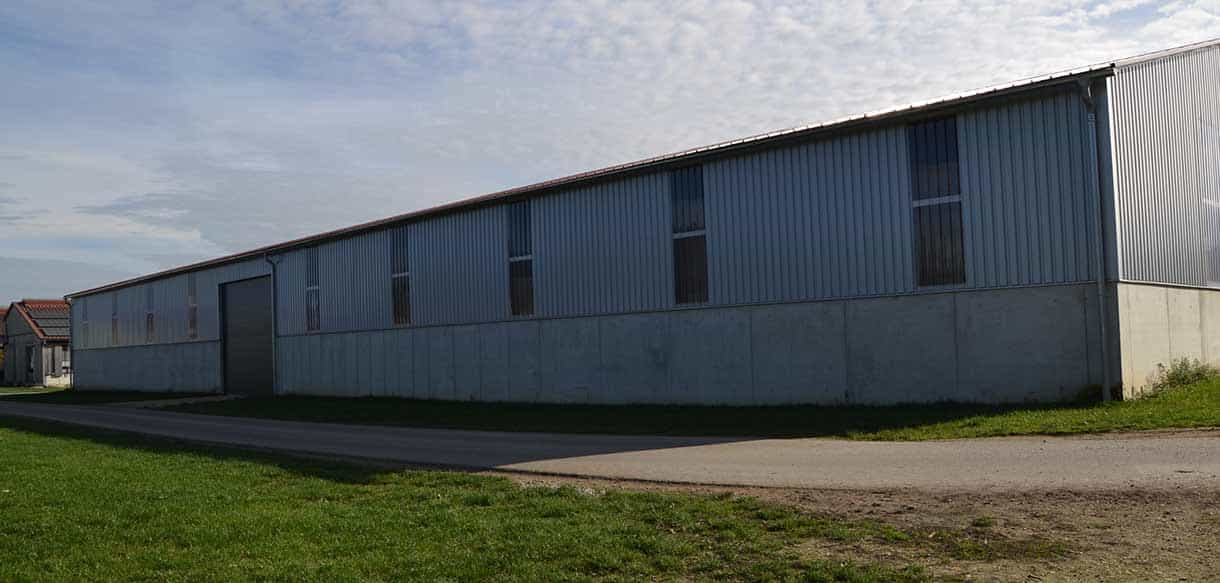 Mehrzwecklagerhalle mit Lichtplatten von Haas Landwirtschaftsbau