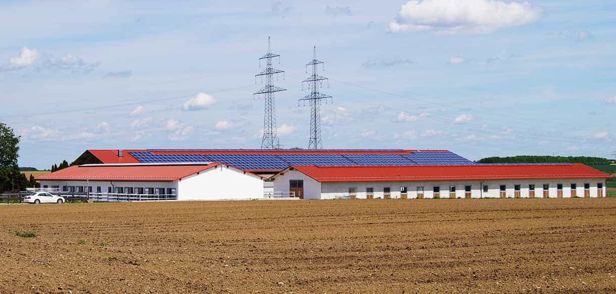 Pferdestall von Haas Landwirtschaftsbau