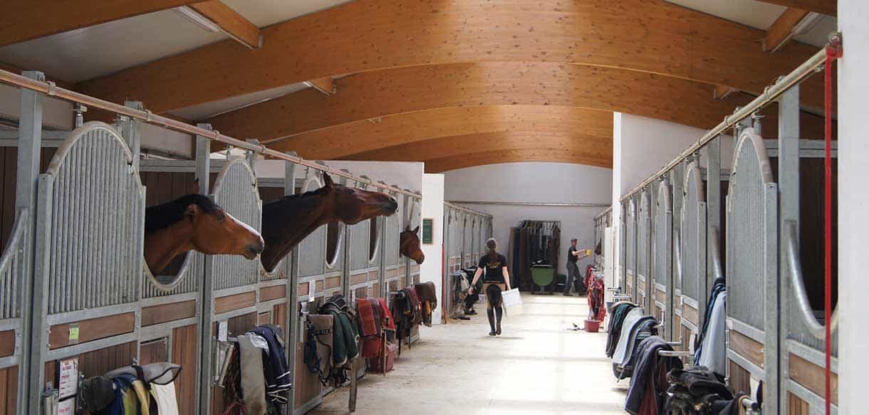 Pferdestall von Haas Landwirtschaftsbau