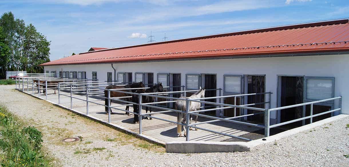 Pferdestall von Haas Landwirtschaftsbau