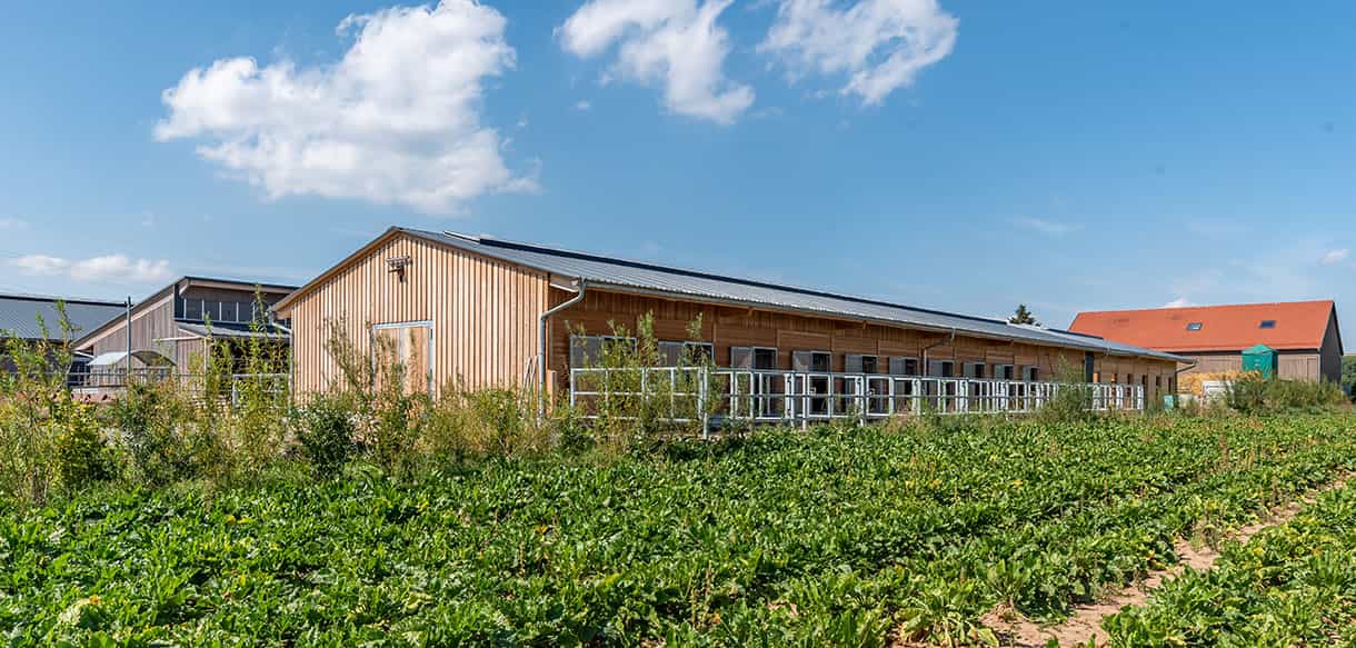 Pferdestall für Reiterhof von Haas Landwirtschaftsbau