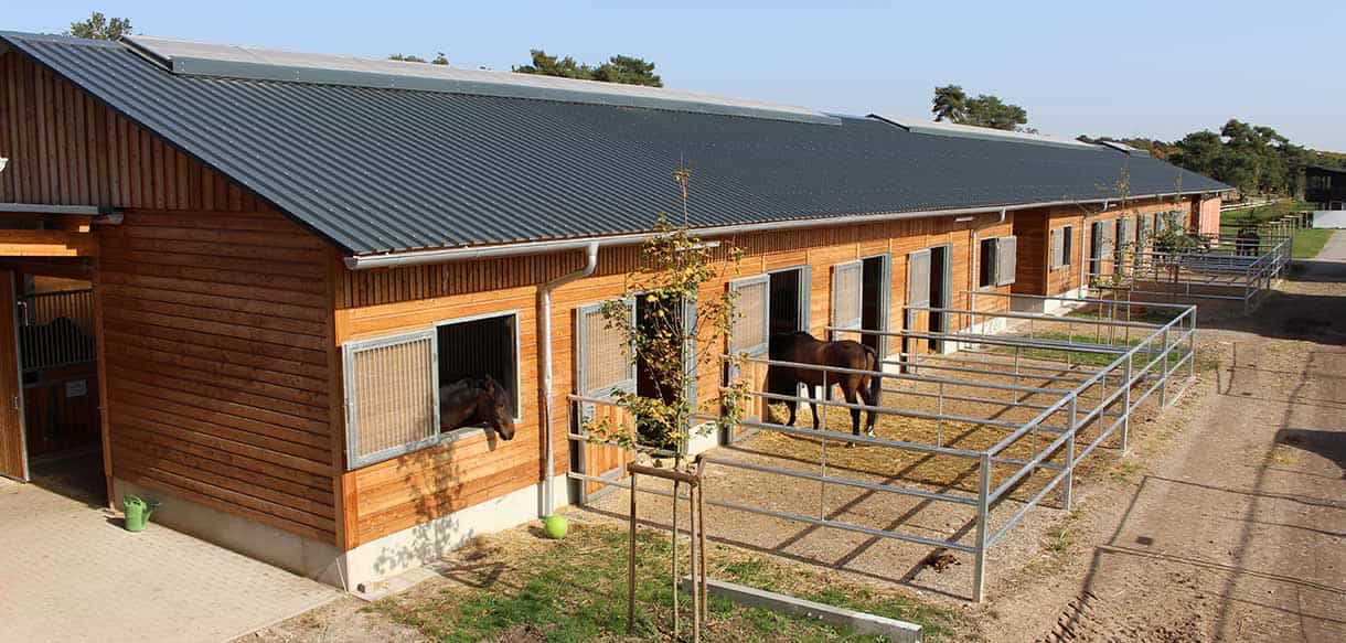 Pferdestall von Haas Landwirtschaftsbau
