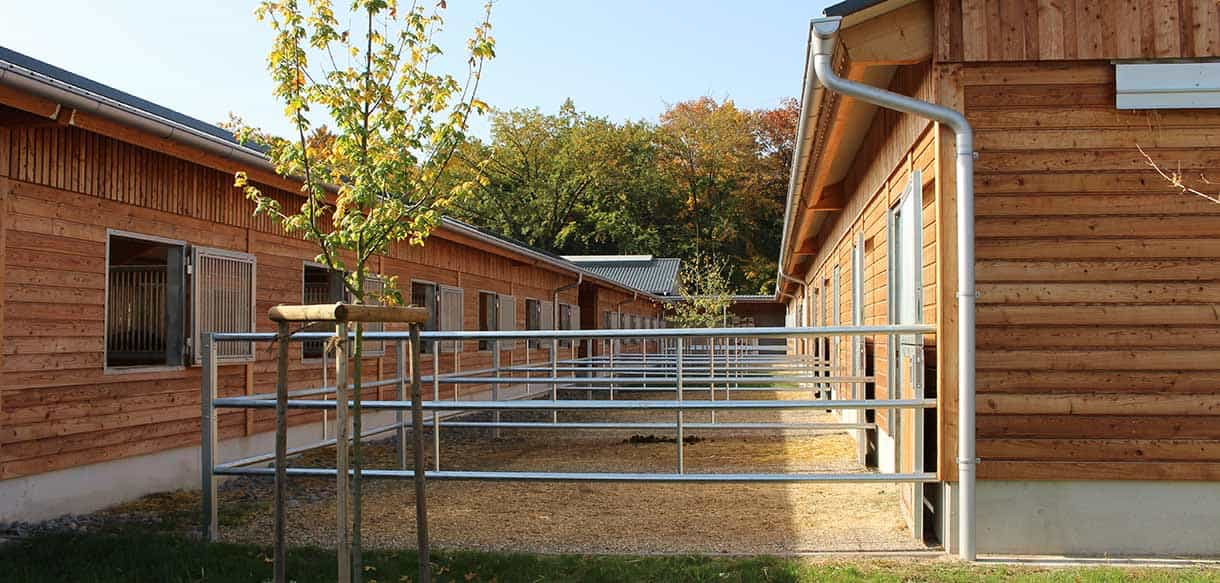 Pferdestall von Haas Landwirtschaftsbau