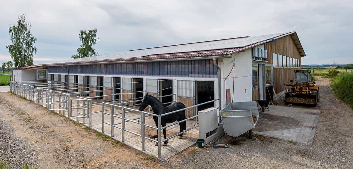 Reithalle und Stall von Haas Landwirtschaftsbau