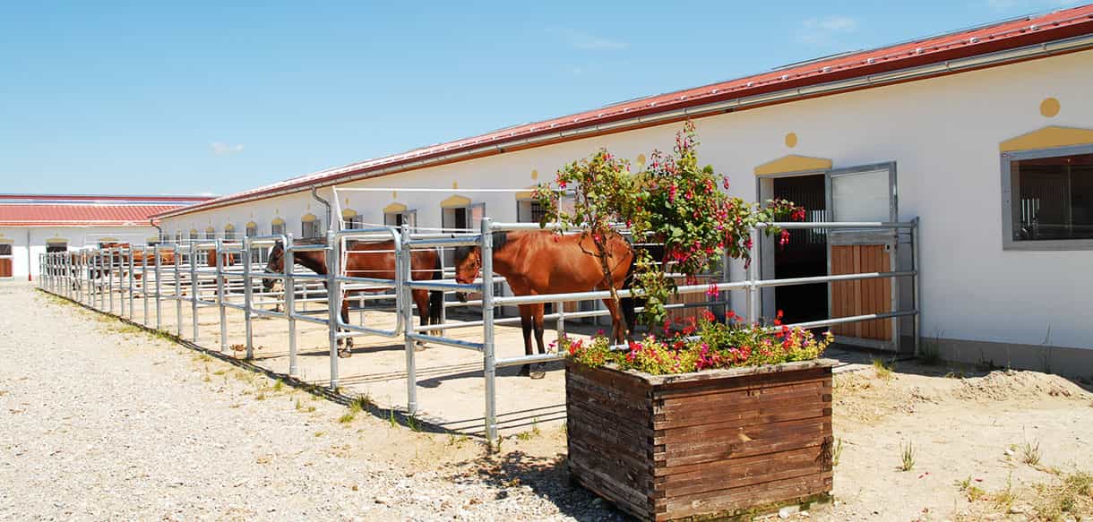 Reithalle von Haas Landwirtschaftsbau