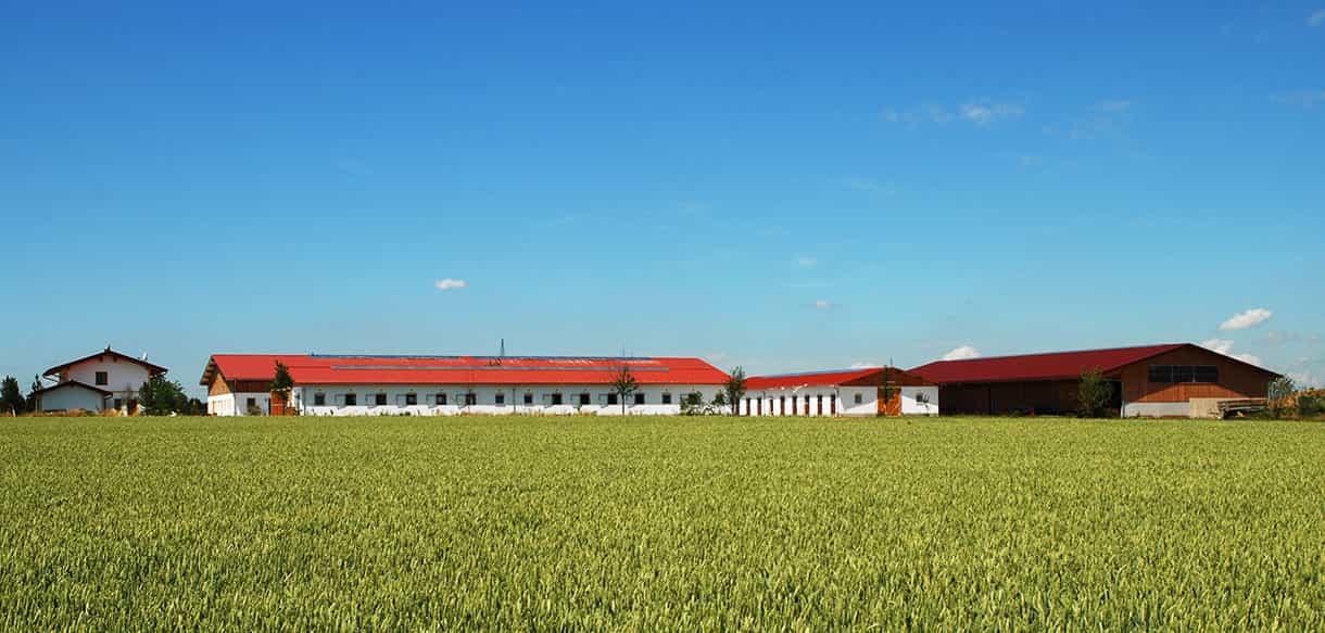 Reithalle von Haas Landwirtschaftsbau