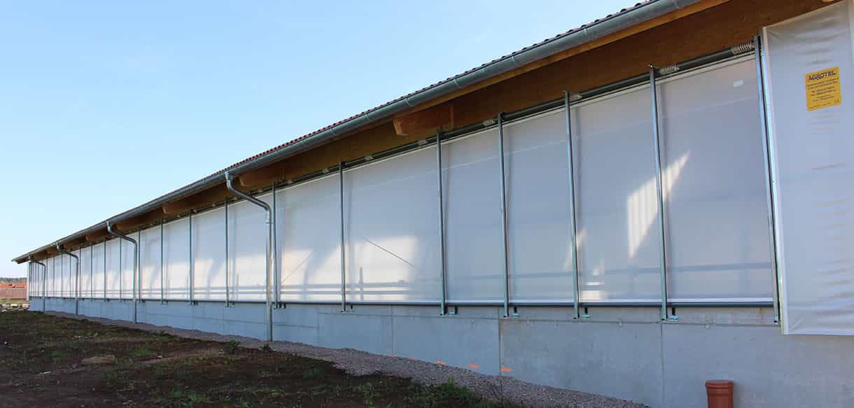 Bullenmaststall von Haas Landwirtschaftsbau