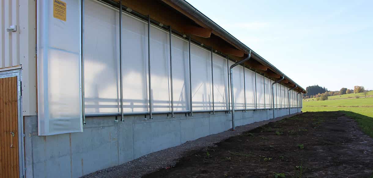 Bullenmaststall von Haas Landwirtschaftsbau