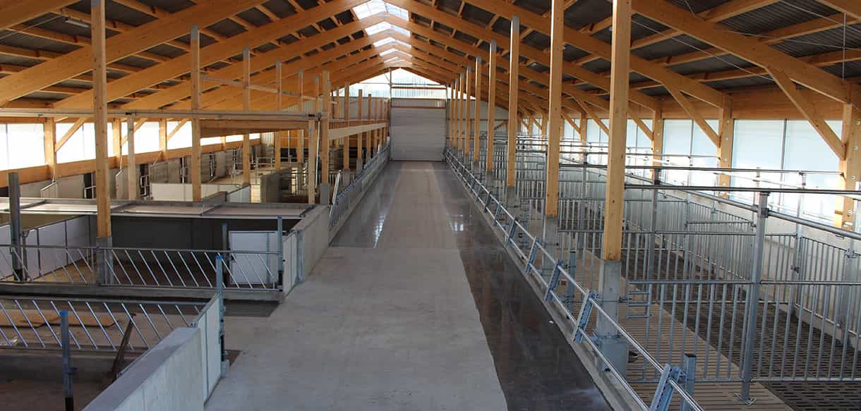 Bullenmaststall von Haas Landwirtschaftsbau