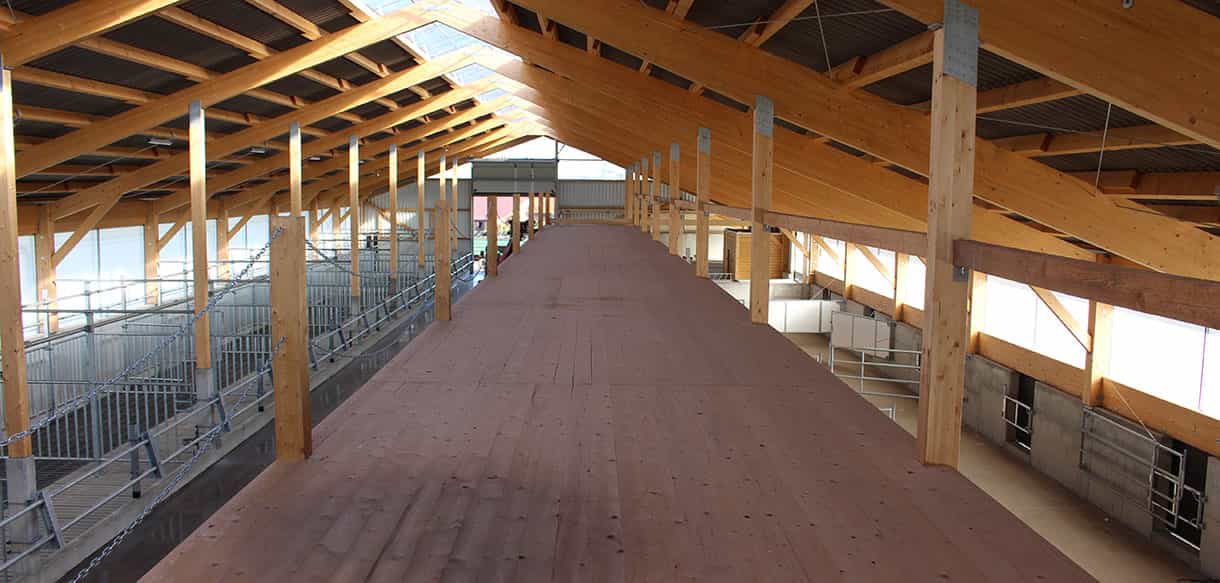 Bullenmaststall von Haas Landwirtschaftsbau