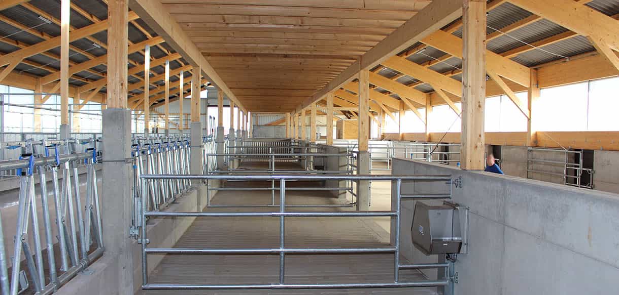 Bullenmaststall von Haas Landwirtschaftsbau