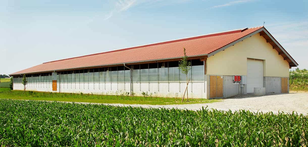Bullenmaststall von Haas Landwirtschaftsbau