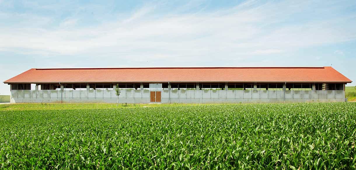 Bullenmaststall von Haas Landwirtschaftsbau