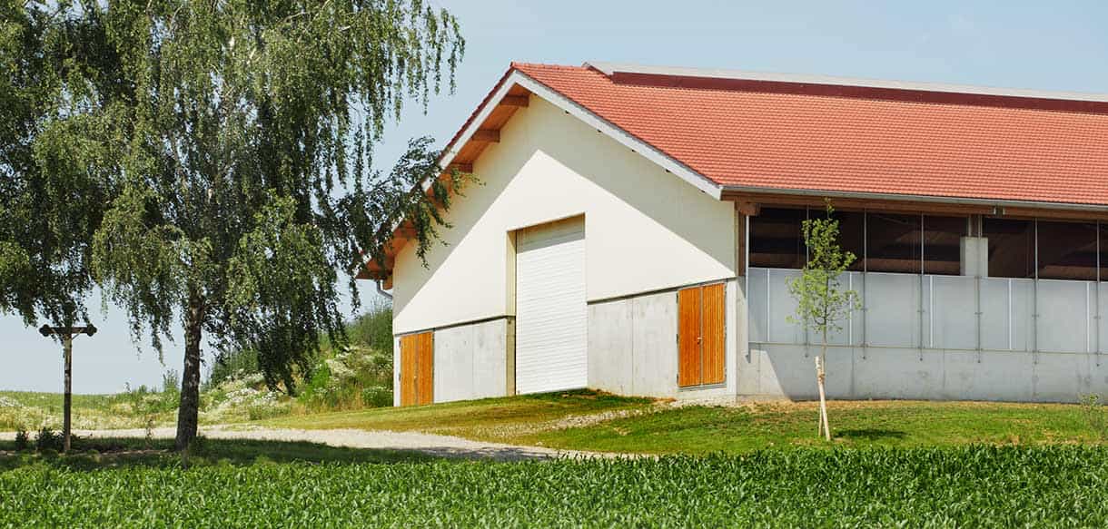 Bullenmaststall von Haas Landwirtschaftsbau