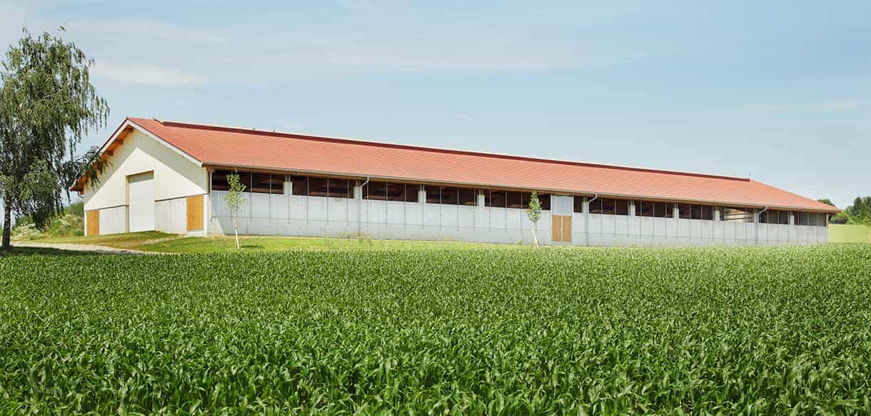 Bullenmaststall von Haas Landwirtschaftsbau
