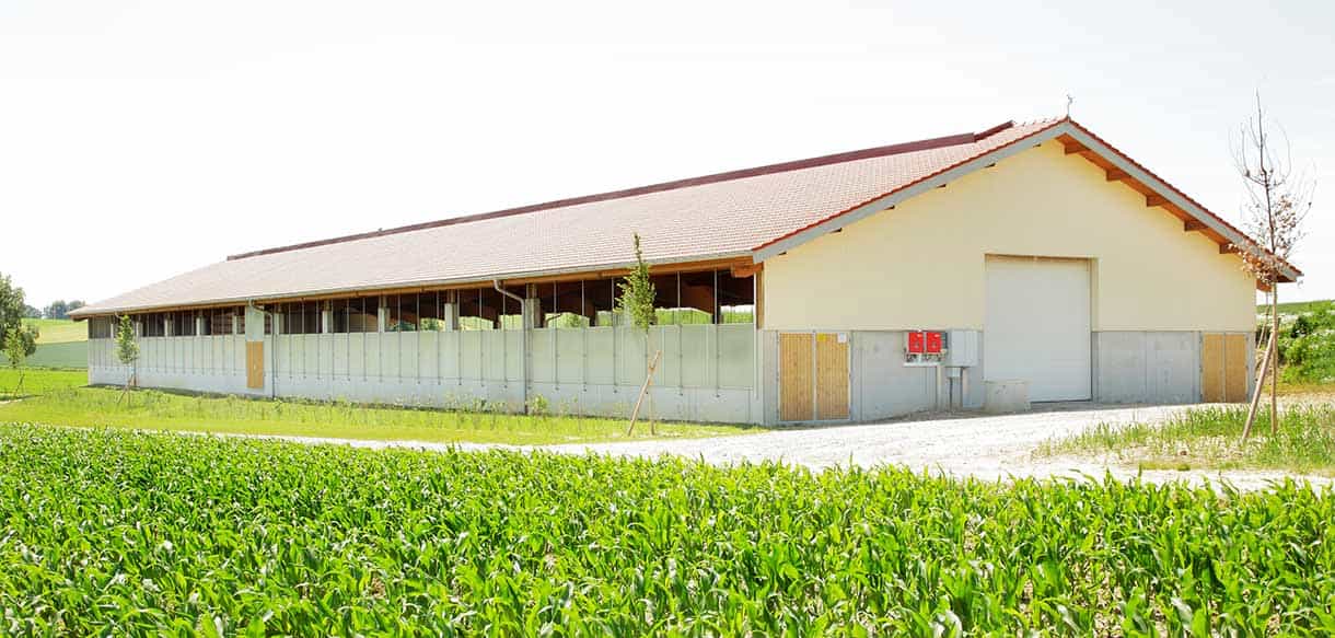 Bullenmaststall von Haas Landwirtschaftsbau