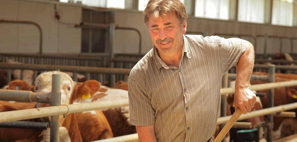 Bullenmaststall von Haas Landwirtschaftsbau