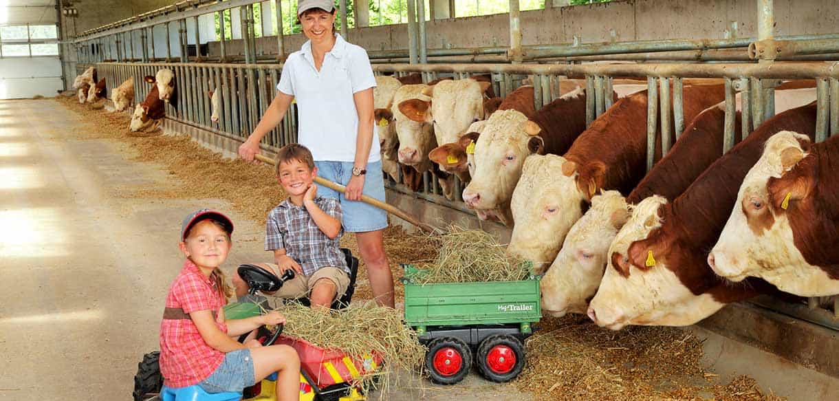 Bullenmaststall von Haas Landwirtschaftsbau